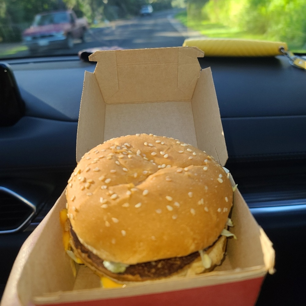 Meet your Posher, Cheena